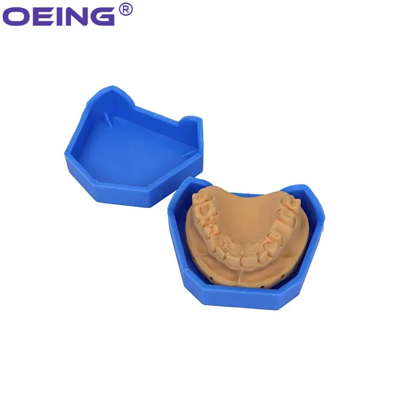 2/6 pçs modelo dental base de  - Model Kit Tool avaliação e preço