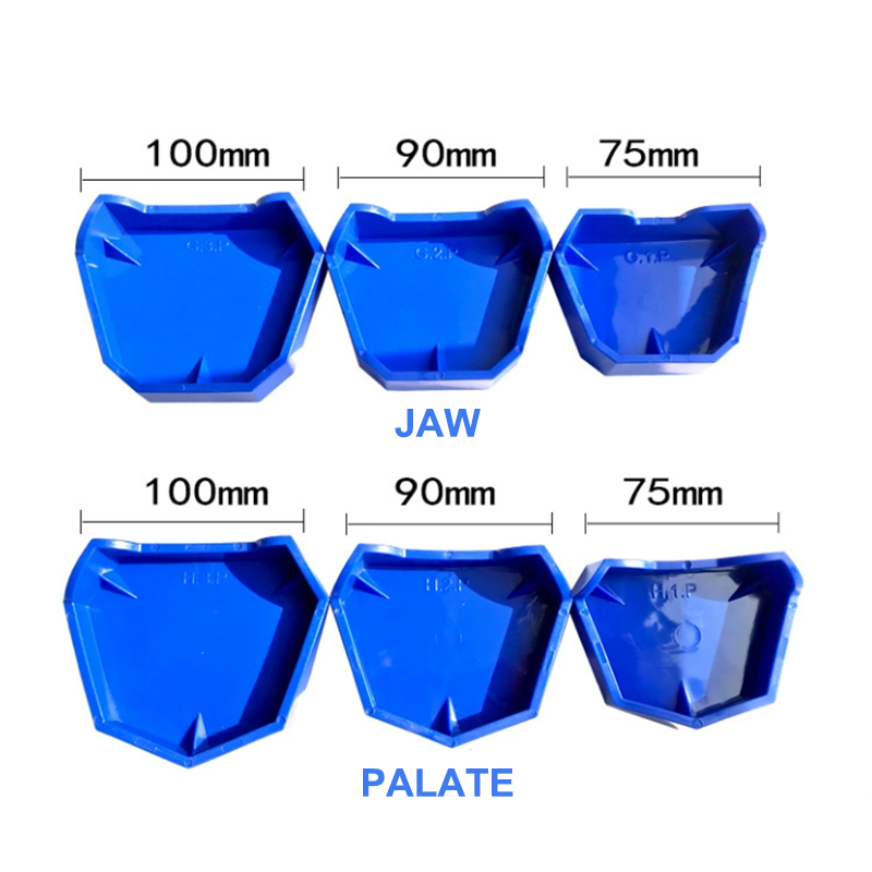 Conjunto de base de modelo den - Model Kit Tool avaliação e preço
